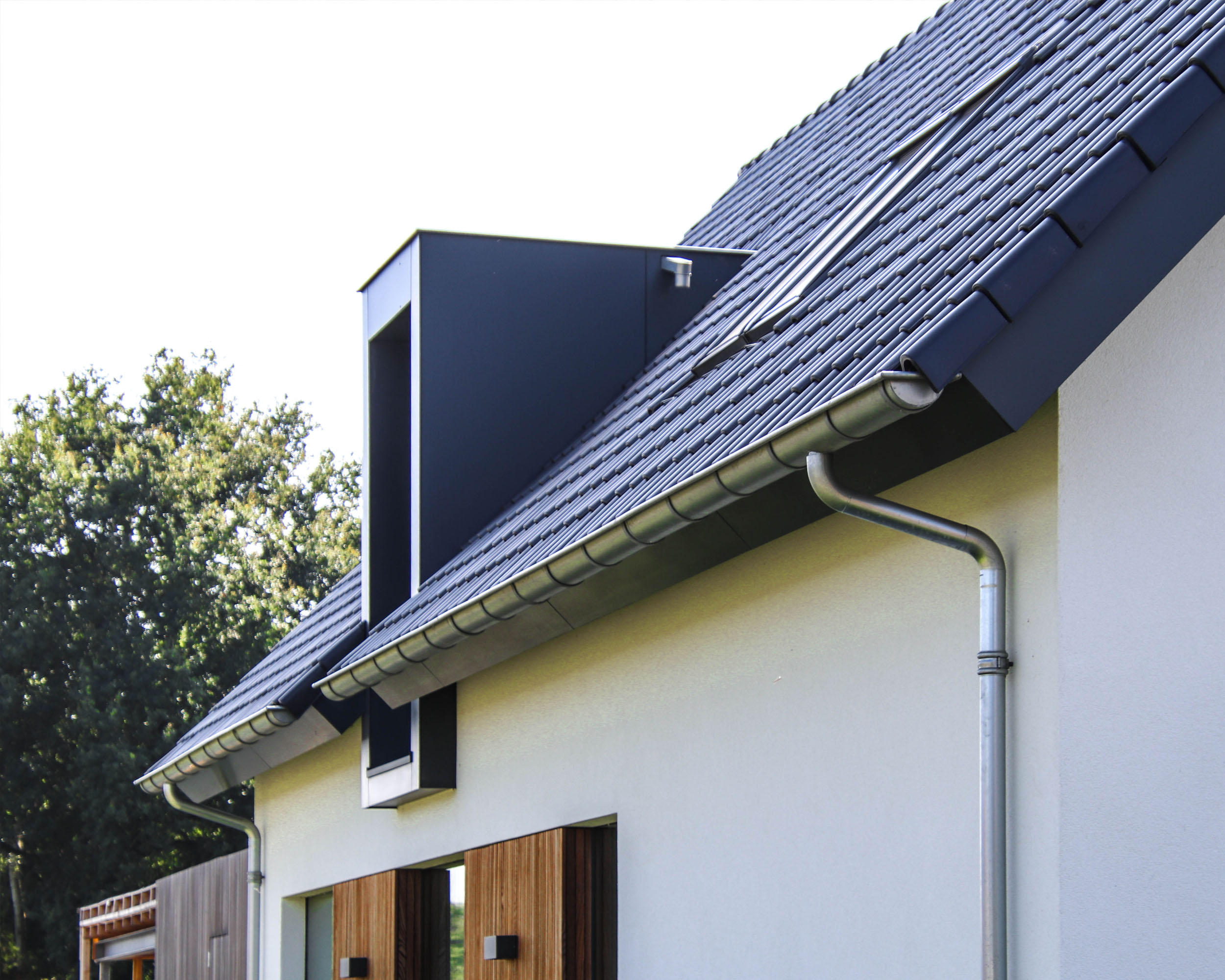 Goropiuslaan Hilvarenbeek